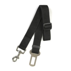 dog seat belt