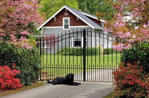 Gate outside house with dog next to it