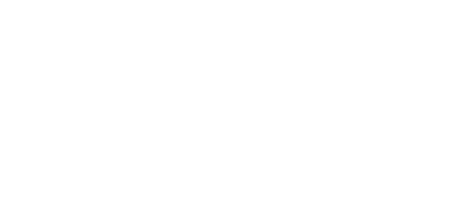 ALEKO Blog