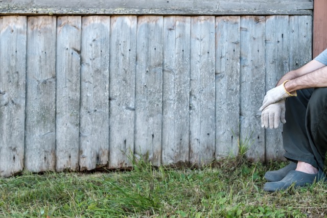 Termites in Your Fence: Signs, Treatment, and How to Prevent Damage